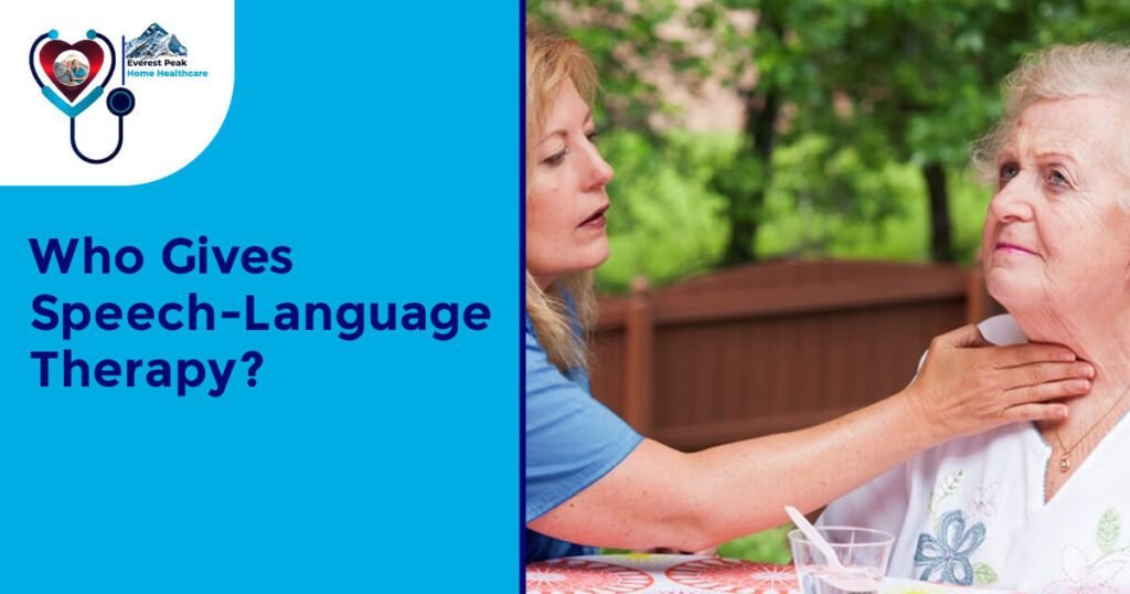 Who Gives Speech-Language Therapy?
